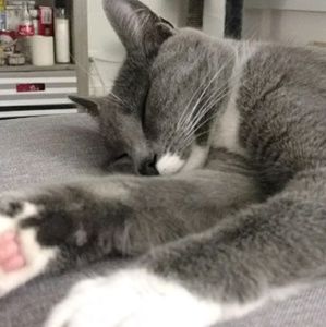 Meet your Posher, Jaime